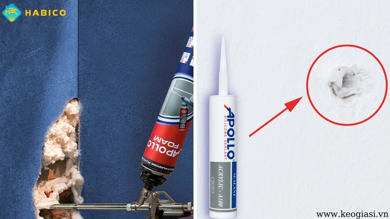 Apollo A100 và Apollo PU Foam