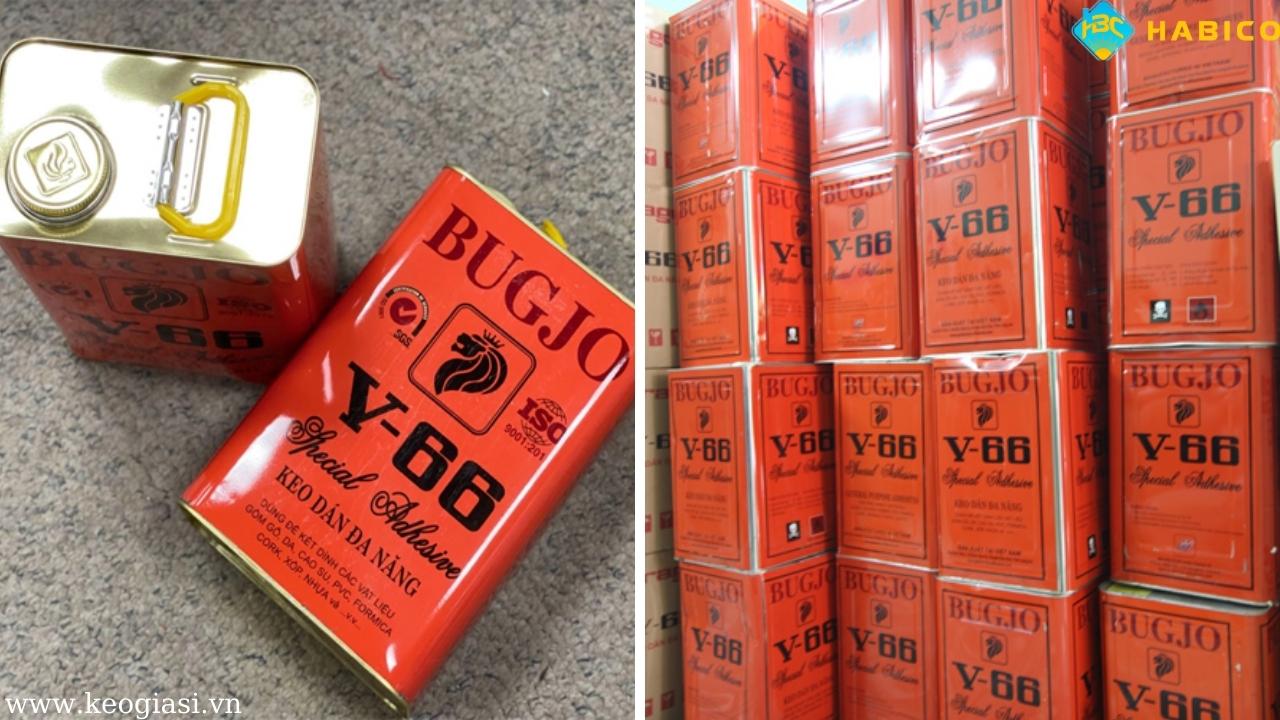 Keo BUGJO V66