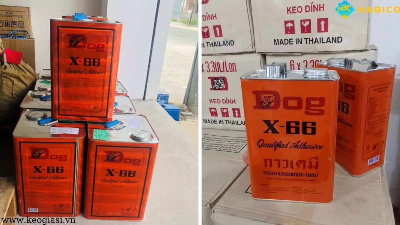 Keo Con Chó X66