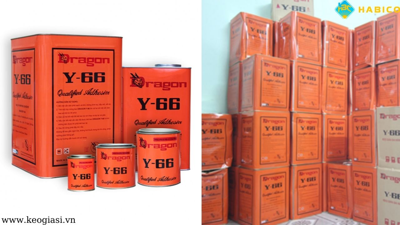 Keo Rồng Dragon Y66