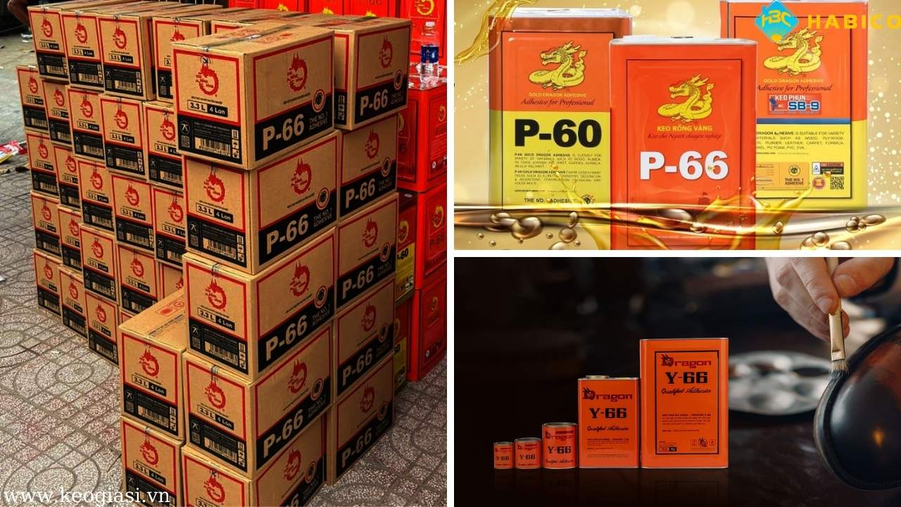 Keo Rồng Vàng (P66, P60, Y66)