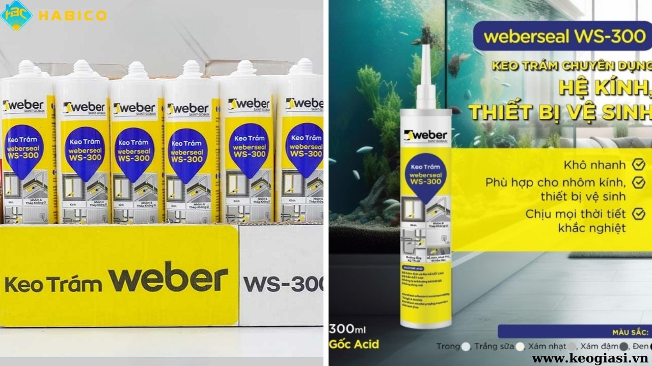 Keo Silicone Weber WS-300
