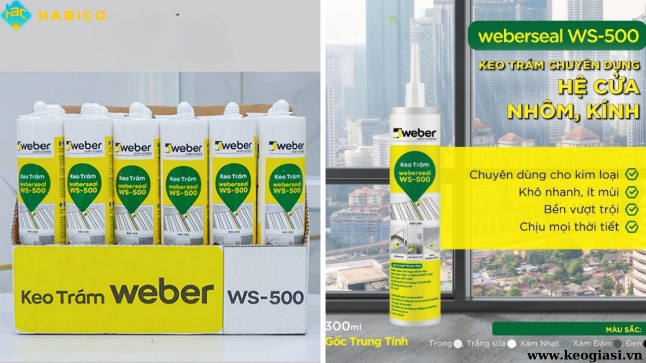 Keo Silicone Weber WS-500