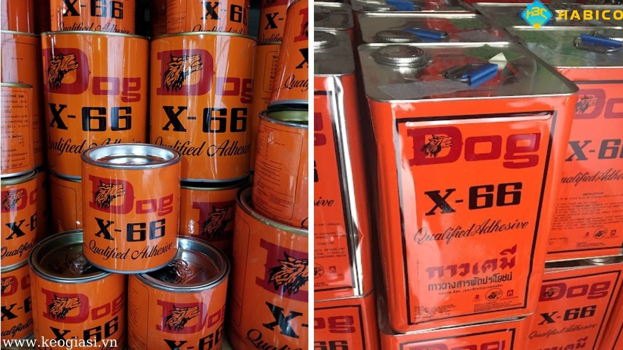 Keo con chó (Dog X66)