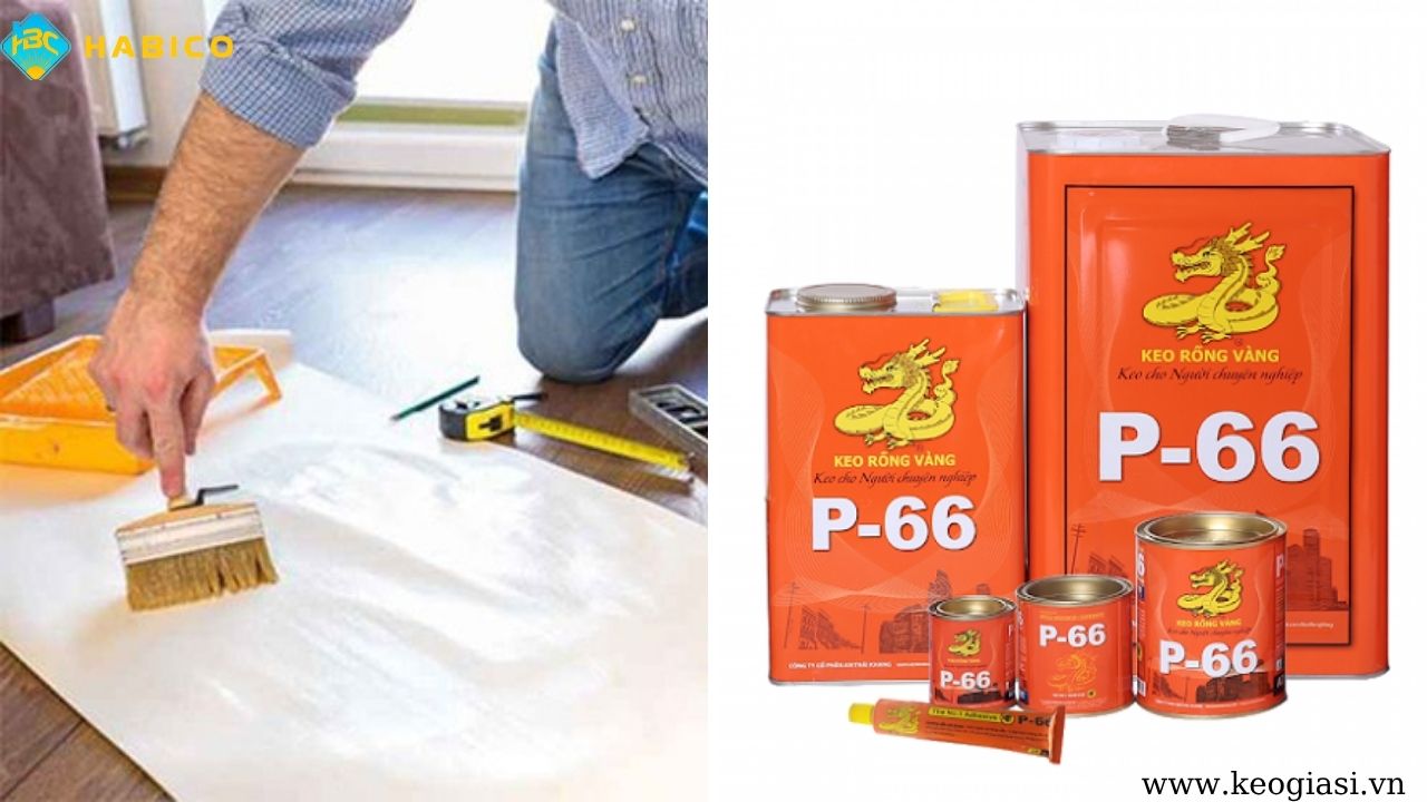 Keo dán giấy dán tường Rồng Vàng P66