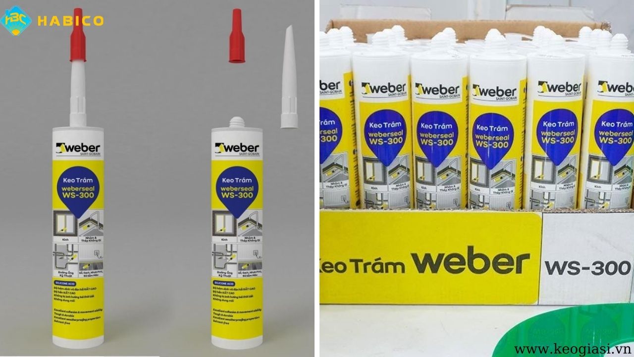 Keo silicone thông dụng WS 300