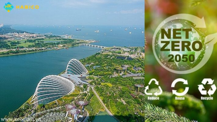 Mục tiêu Net Zero 2050