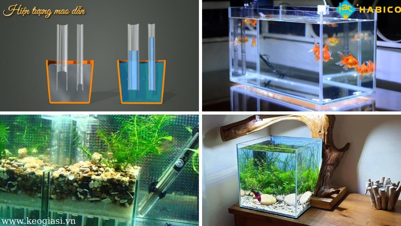 Nguyên nhân thường gặp khiến bể cá bị rò rỉ