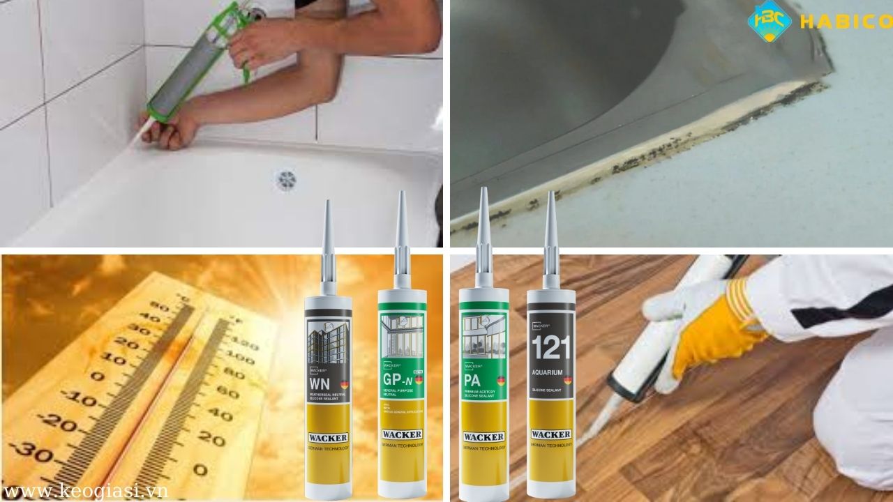 Tính năng vượt trội của keo silicone Wacker trong xây dựng và nội thất