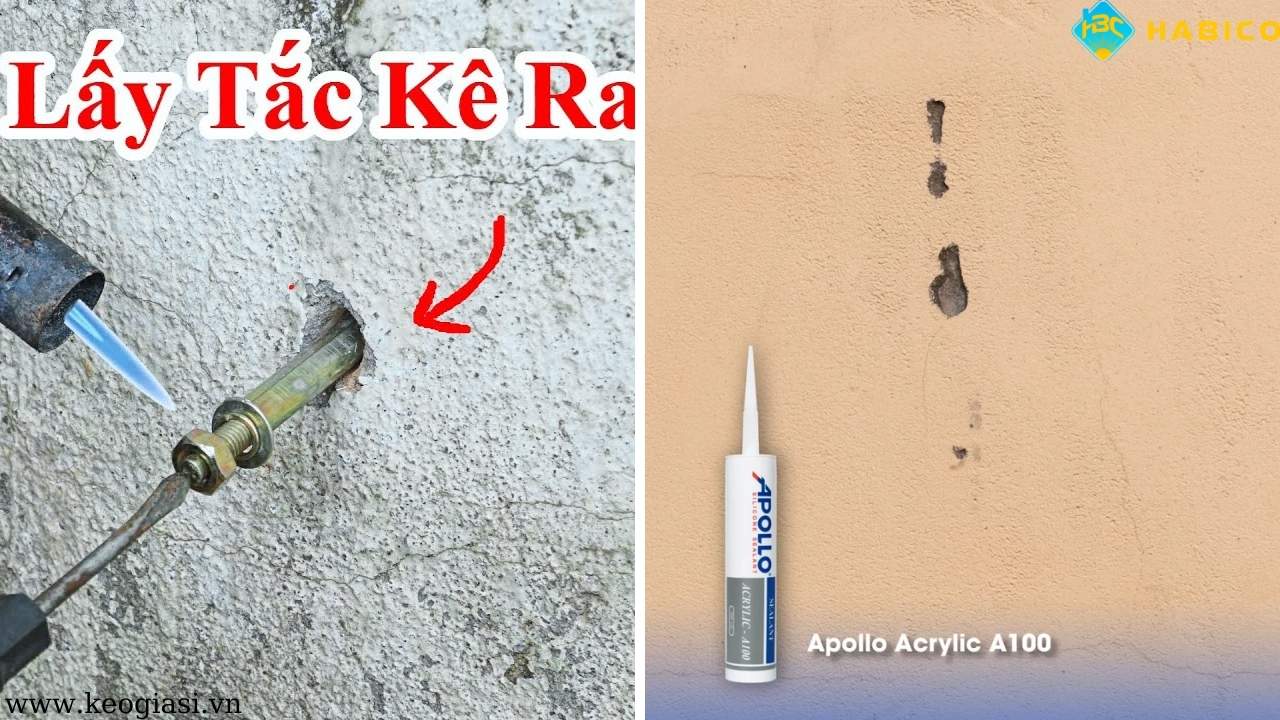 Trám lỗ đinh vít bằng keo Apollo Acrylic A100