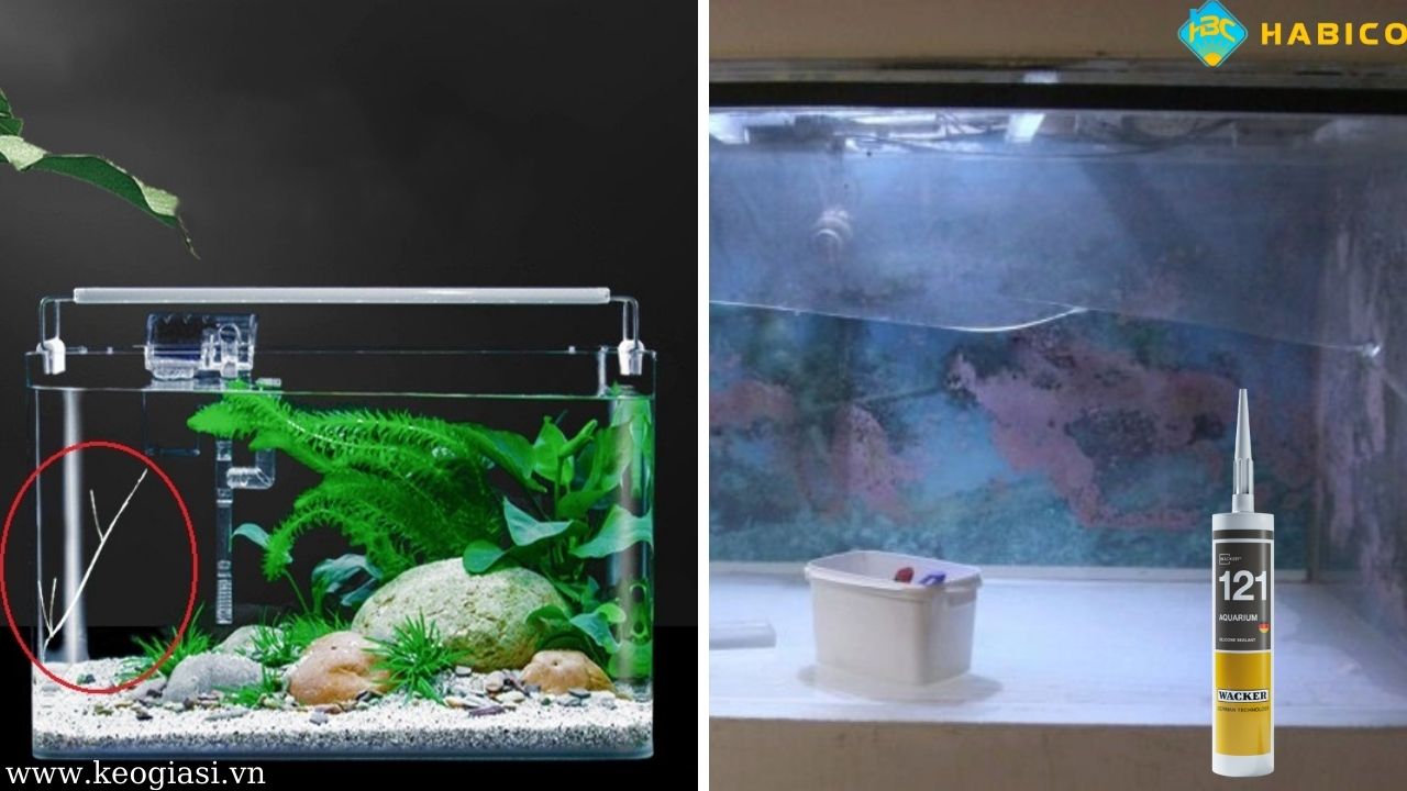 Trong trường hợp kính bị nứt hoặc vỡ nghiêm trọng nên thay mới